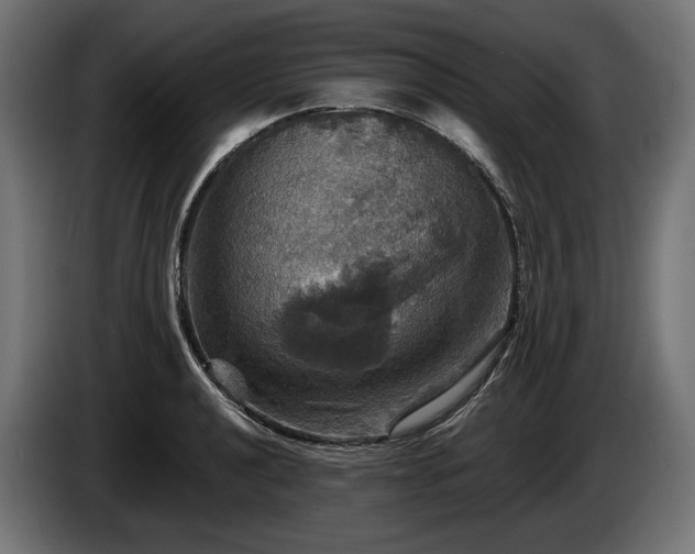 X0000084521040200703021351