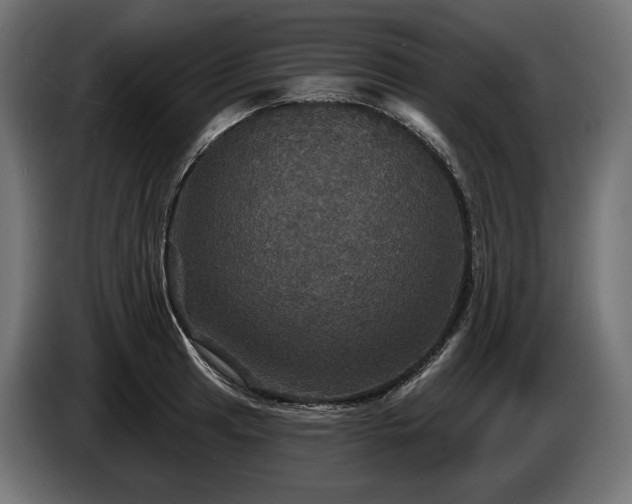 X0000084521041200703021351