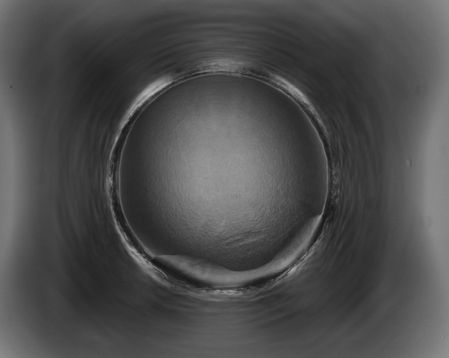 X0000084521042200703021351