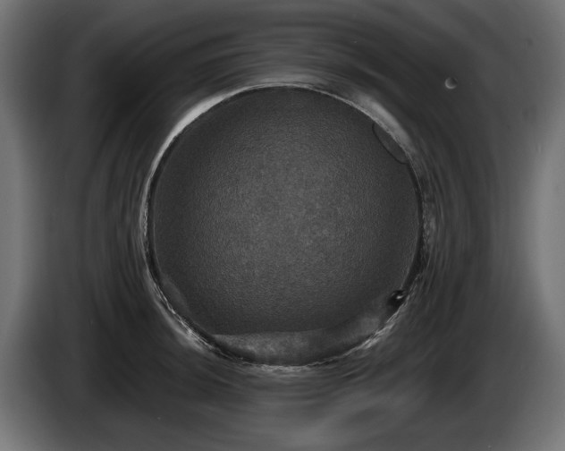 X0000084521044200703021351