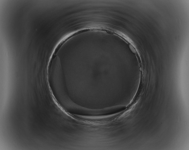 X0000084521045200703021351