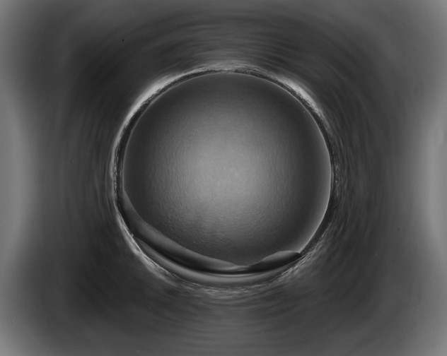 X0000084521046200703021351