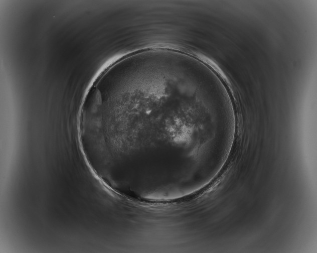 X0000084521048200703021351