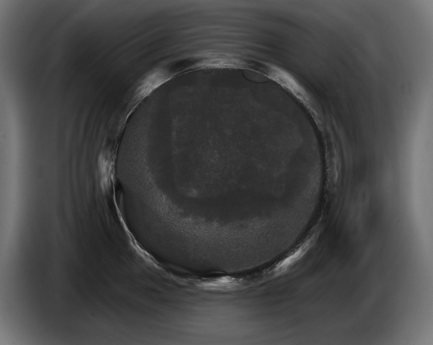 X0000084521049200703021351