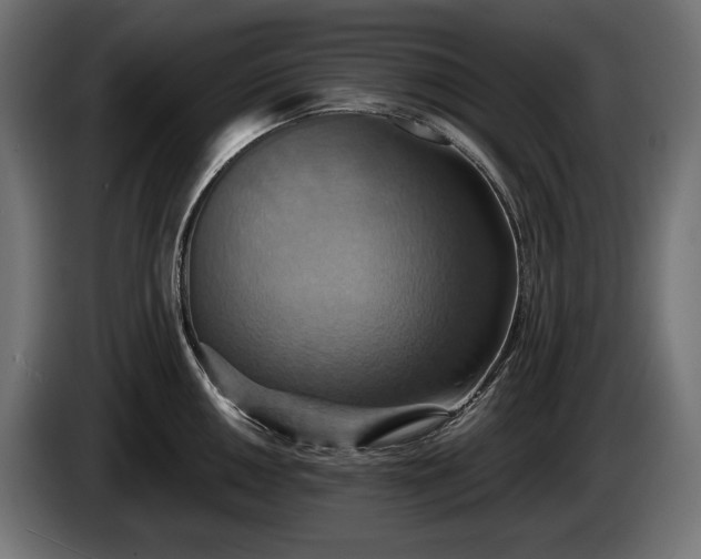 X0000084521050200703021351