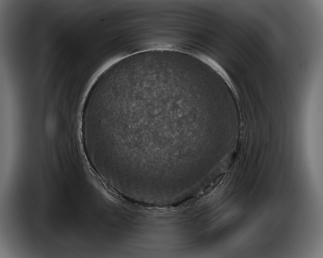 X0000084521051200703021351