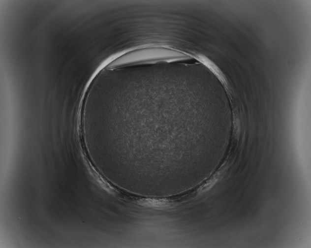 X0000084521052200703021351