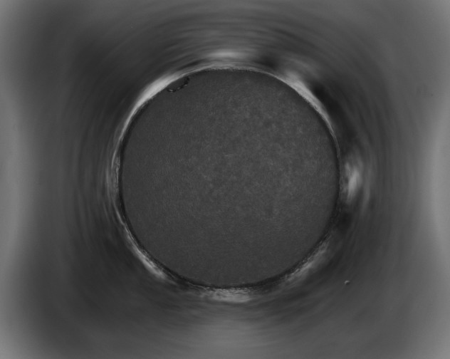 X0000084521053200703021351