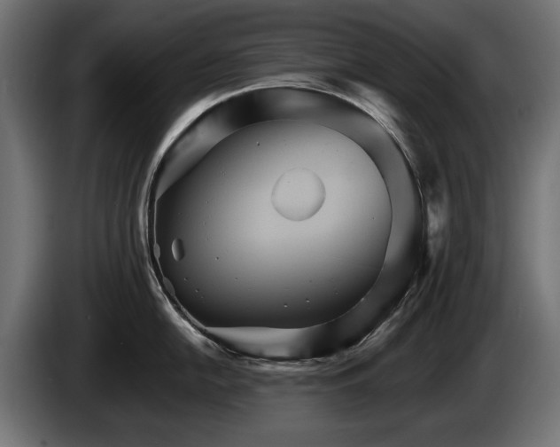 X0000084521054200703021351