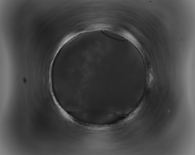 X0000084521055200703021351