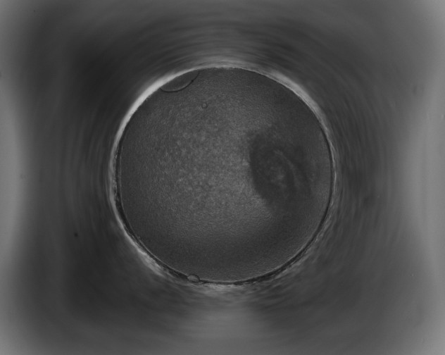 X0000084521056200703021351