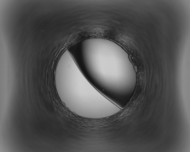 X0000084521057200703021351