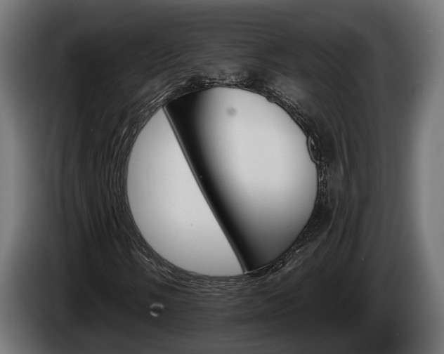 X0000084521058200703021351