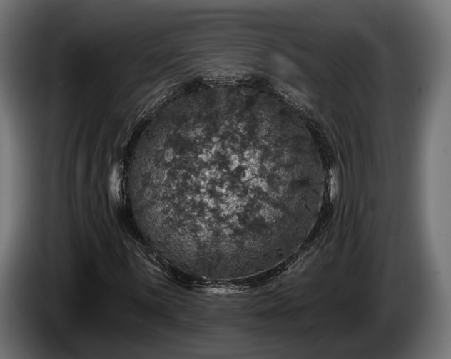 X0000084521059200703021350
