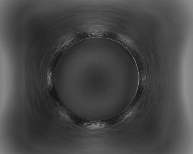 X0000084521060200703021350