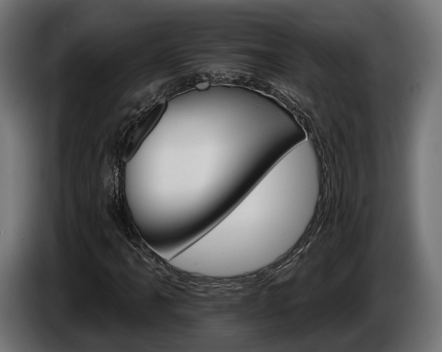 X0000084521061200703021350