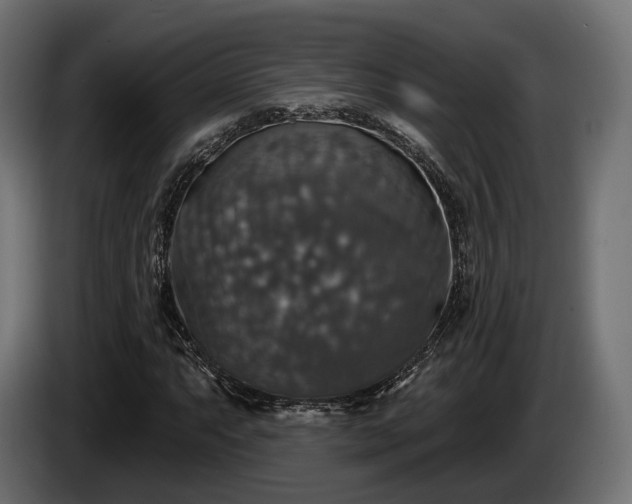 X0000084521063200703021350