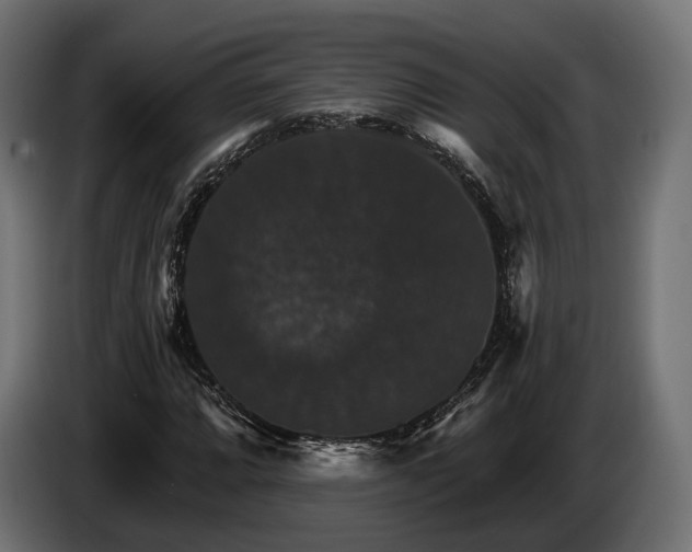 X0000084521064200703021350