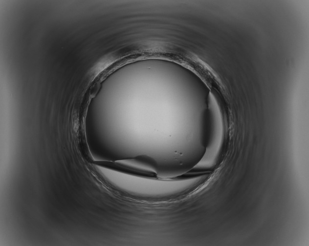 X0000084521065200703021350