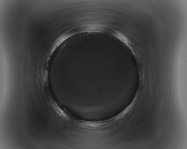 X0000084521066200703021350