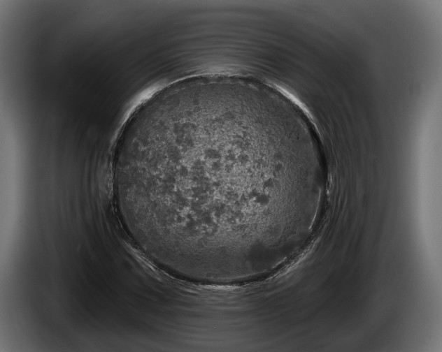 X0000084521067200703021350