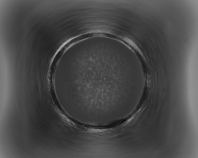 X0000084521068200703021350