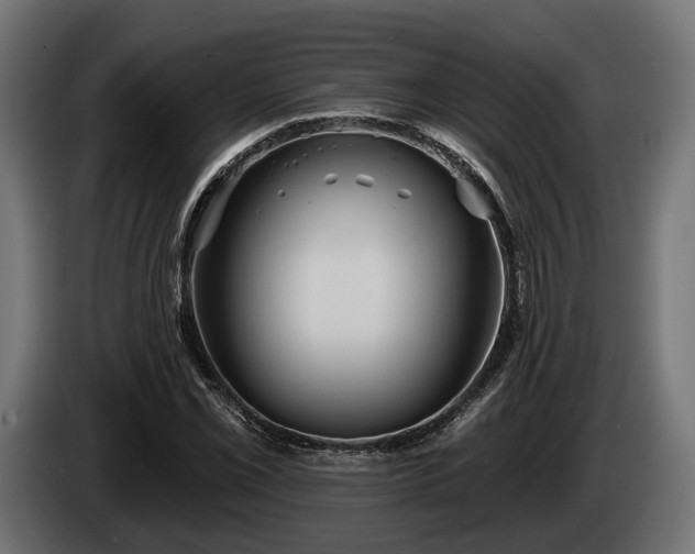 X0000084521069200703021350