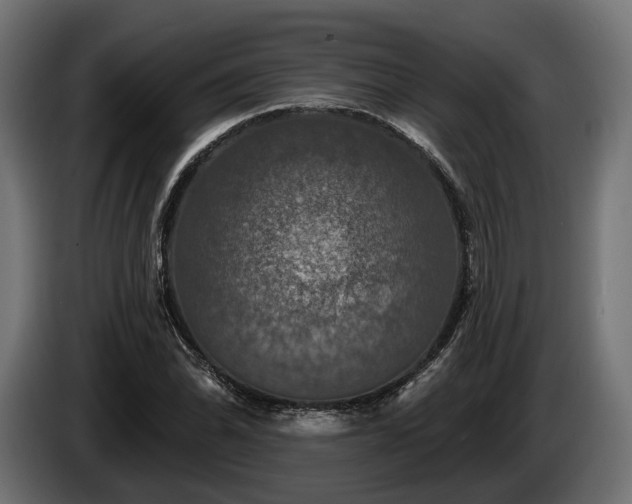 X0000084521070200703021350