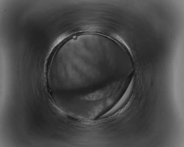 X0000084521071200703021350