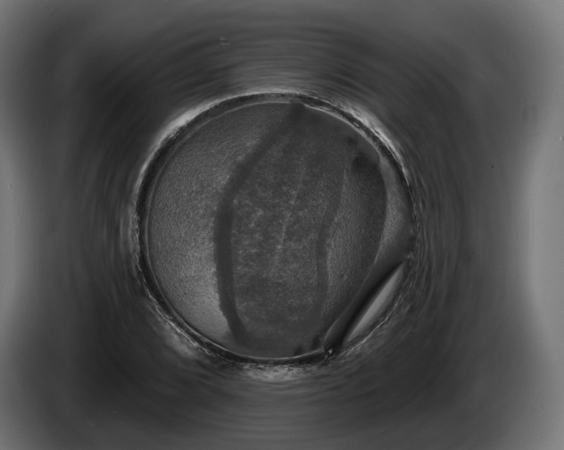 X0000084521072200703021350