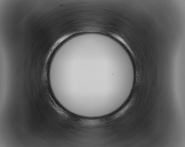 X0000084521074200703021350