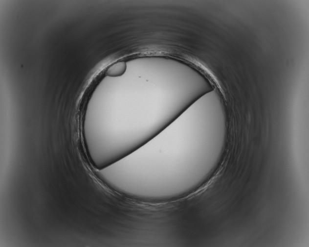 X0000084521075200703021350