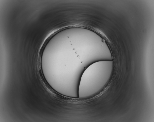 X0000084521079200703021350