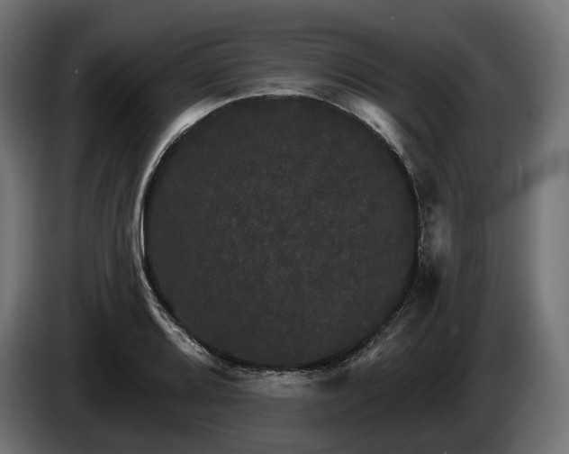 X0000084521080200703021350