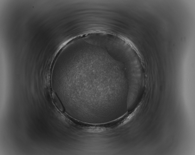 X0000084521081200703021350