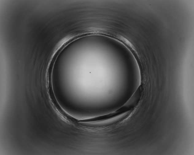 X0000084521082200703021350