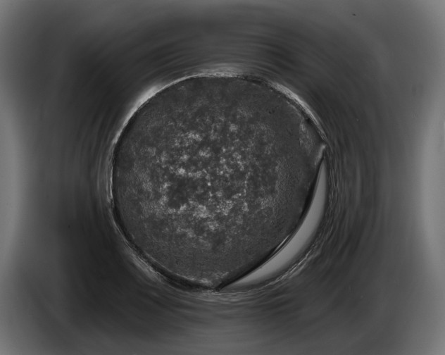 X0000084521083200703021350