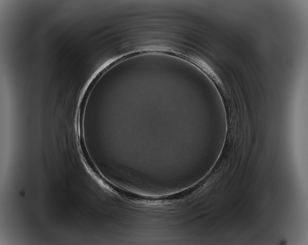 X0000084521084200703021350