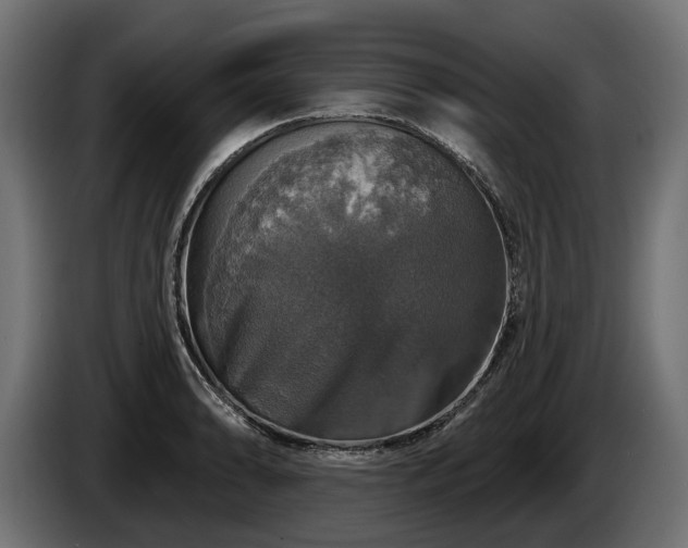 X0000084521086200703021350