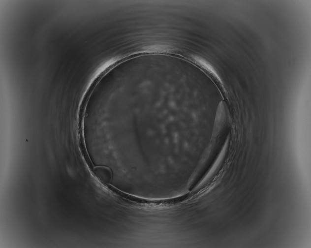 X0000084521087200703021350