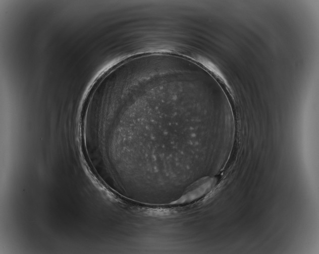 X0000084521088200703021350