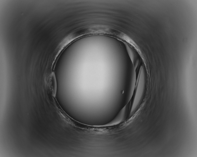 X0000084521089200703021350