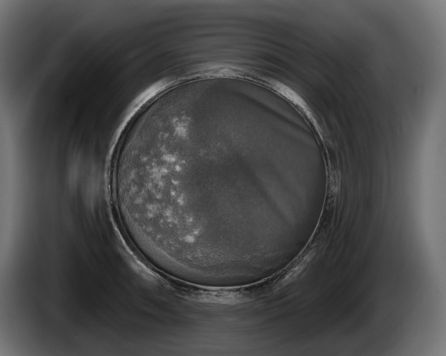 X0000084521090200703021350