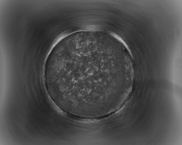 X0000084521091200703021350