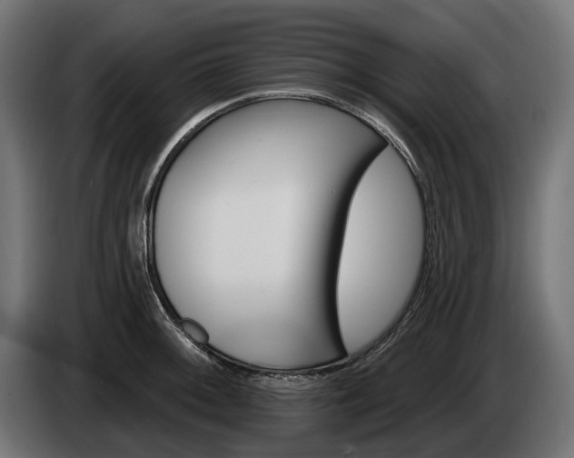 X0000084521092200703021350