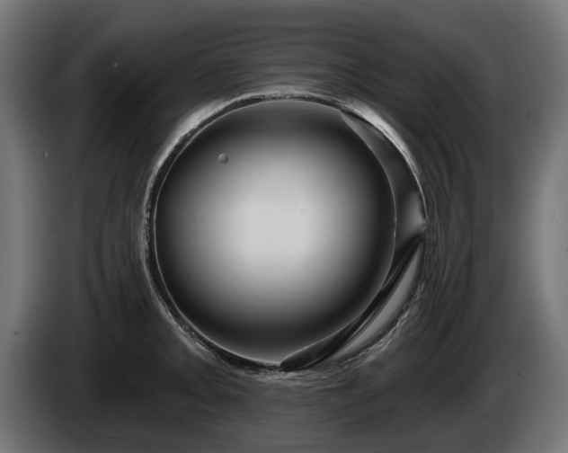 X0000084521093200703021350