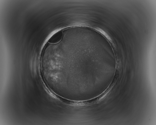 X0000084521094200703021350