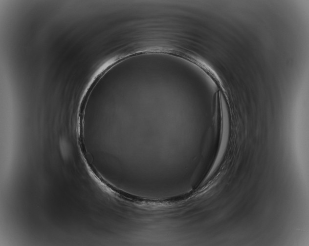 X0000084521095200703021350