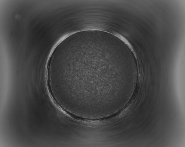 X0000084521096200703021350