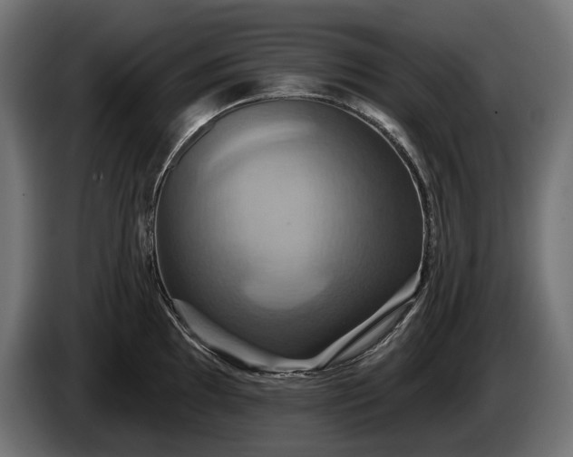 X0000084521097200703021350